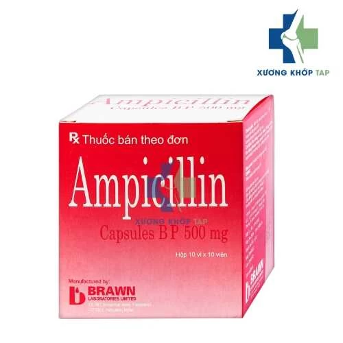 Ampicillin capsules 500mg Brawn