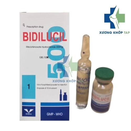 Bidilucil 500 - Meclophenoxat 500mg Bidiphar