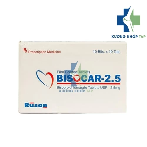 Bisocar 2.5