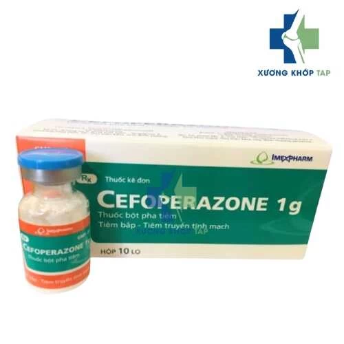 Cefoperazone 1g Imexpharm