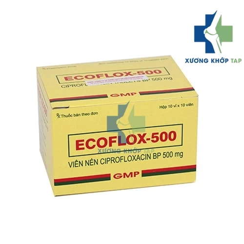 Ecoflox 500