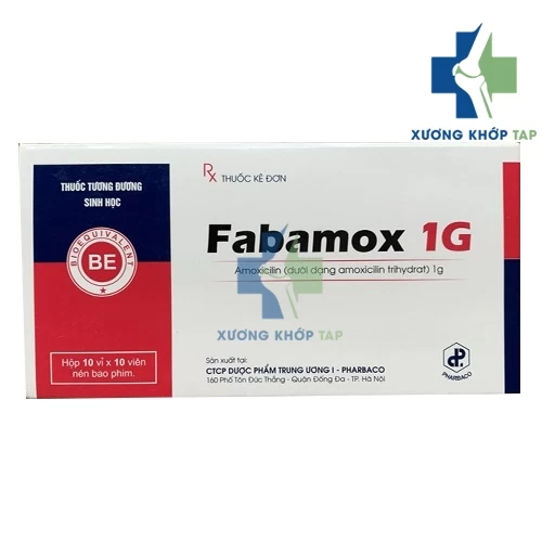 Fabamox 1g - Điều trị các trường hợp nhiễm khuẩn 