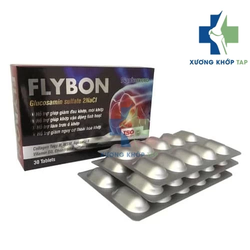 Flybon Phương Đông Pharma - Hỗ trợ giảm nguy cơ thoái hóa khớp