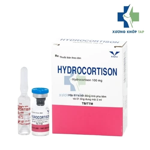 Hydrocortison 100mg Bidiphar