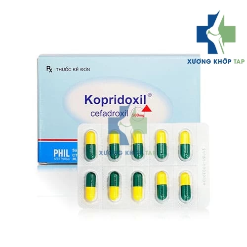 Kopridoxil - Điều trị nhiễm khuẩn đường tiết niệu