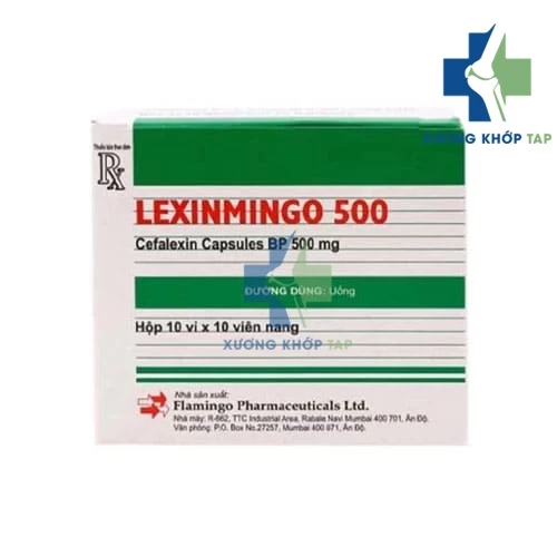 Lexinmingo 500