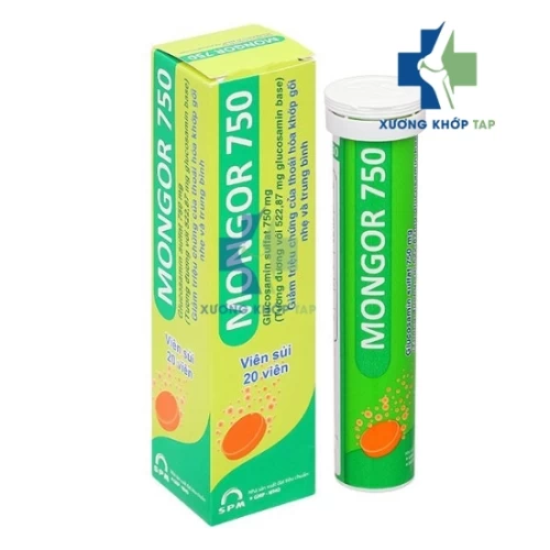 Mongor 750 - Thuốc giảm triệu chứng thoái hóa khớp