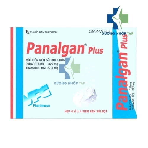 Panalgan Plus