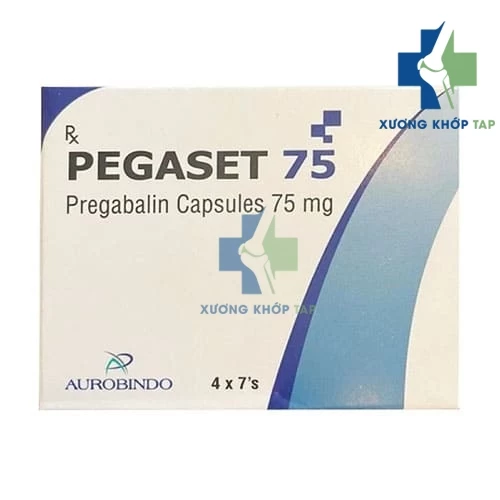 Pegaset 75