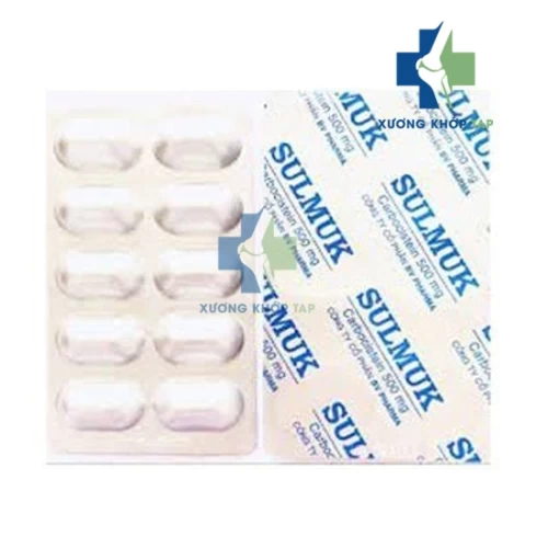Sulmuk - Điều trị bệnh viêm phế quản cấp và mạn tính