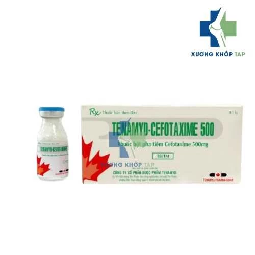 Tenamyd-Cefotaxime 500