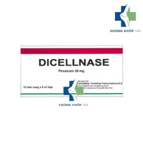 Dicellnase