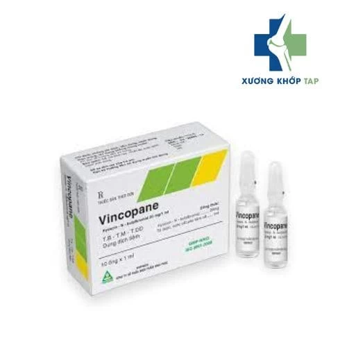 Vincopane - Thuốc điều trị các cơn co thắt cấp tính