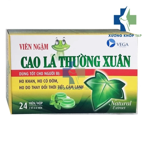 Viên ngậm Cao lá Thường Xuân Vega Pharma