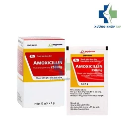 Amoxicillin 250mg Imexpharm