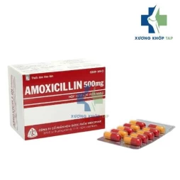 Amoxicillin 500mg Mekophar