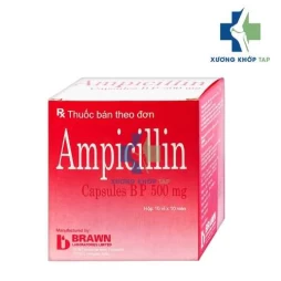 Ampicillin capsules 500mg Brawn