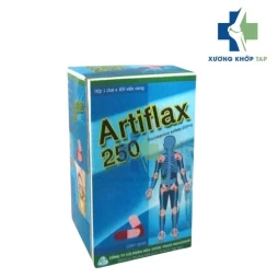 Artiflax 250 - Glucosamin sulfat 250mg Mekophar