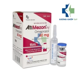 Atimezon Inj 40mg