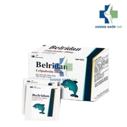Belridan - Cefpodoxim 100mg Medisun
