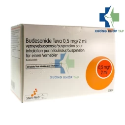 Budesonide Teva 0,5mg/2ml Norton Healthcare