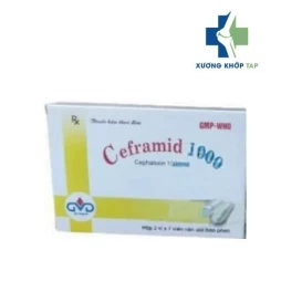 Ceframid 1000 - Thuốc điều trị nhiễm khuẩn đường hô hấp