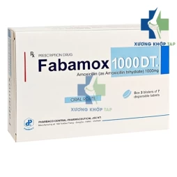 Fabamox 1000 DT