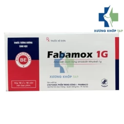 Fabamox 1g - Điều trị các trường hợp nhiễm khuẩn 