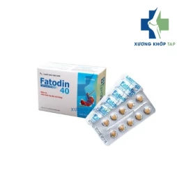 Fatodin 40 - Thuốc điều trị viêm loét dạ dày, tá tràng