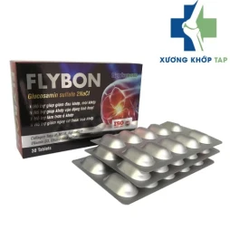 Flybon Phương Đông Pharma - Hỗ trợ giảm nguy cơ thoái hóa khớp