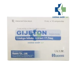 Gijeton Injection - Ginkgo biloba Extract 17,5mg Huons