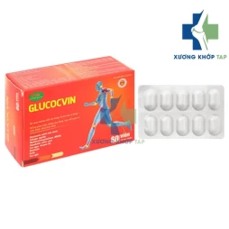 Glucocvin -  Sản phẩm hỗ trợ bổ sung dưỡng chất cho khớp