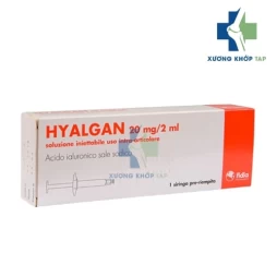 Hyalgan - Natri hyaluronate 20mg/2ml Fidia Farma