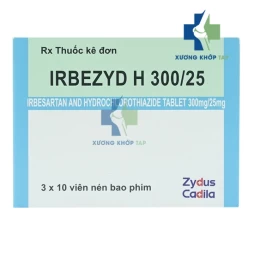 Irbezyd H 300/25