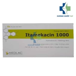 Itamekacin 1000 - Amikacin 1g Medlac
