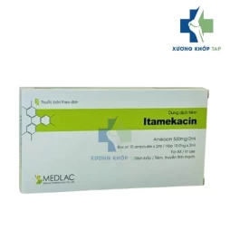 Itamekacin - Amikacin 500mg Medlac