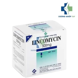 Lincomycin 500mg Vidipha