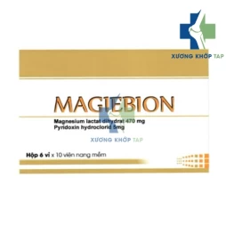 Magiebion