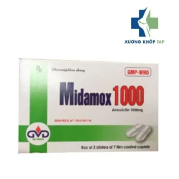 Ceframid 1000 - Thuốc điều trị nhiễm khuẩn đường hô hấp