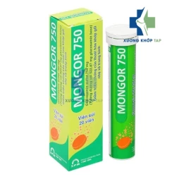 Mongor 750 - Thuốc giảm triệu chứng thoái hóa khớp