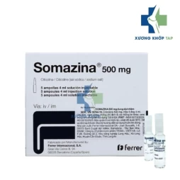 Somazina 500mg - Citicolin natri Ferrer