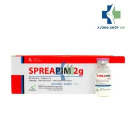 Spreapim 2 g - Cefepime Amvi Pharm