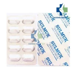 Sulmuk - Điều trị bệnh viêm phế quản cấp và mạn tính