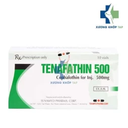 Tenafathin 500 - Cefalothin Tenamyd