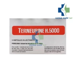 Terneurine H.5000