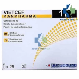 Vietcef 1g - Ceftriaxon Panpharma