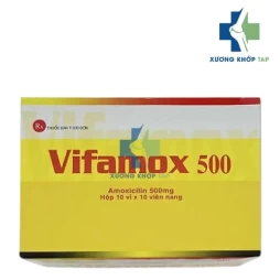 Vifamox 500 - Amoxicilin 500mg Vidipha